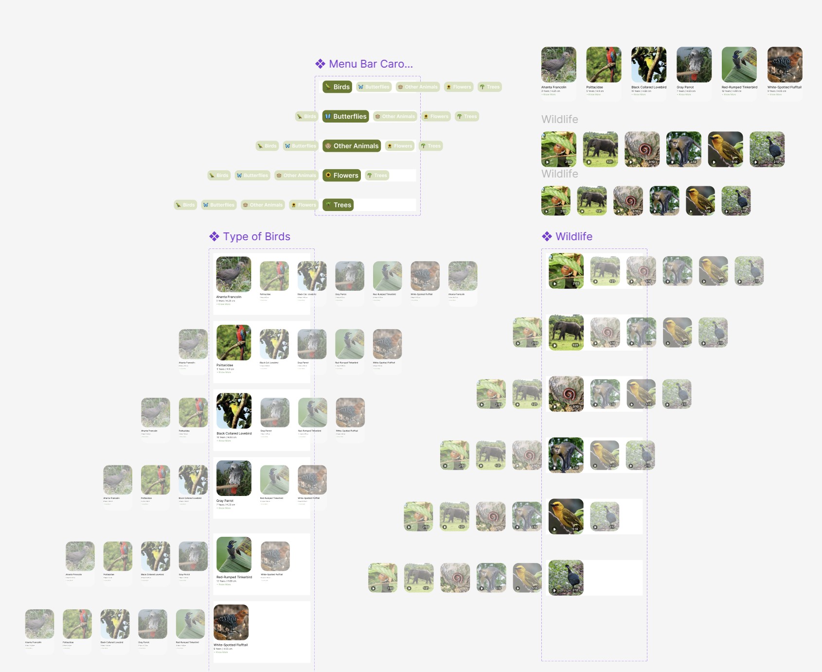 Research and Wireframes